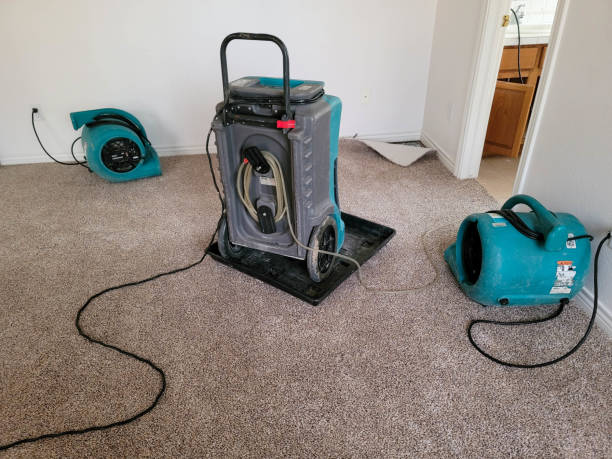 Best Sewage cleanup and water damage restoration  in Jellico, TN