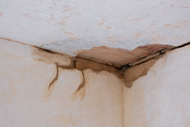 Best Emergency water damage restoration  in Jellico, TN