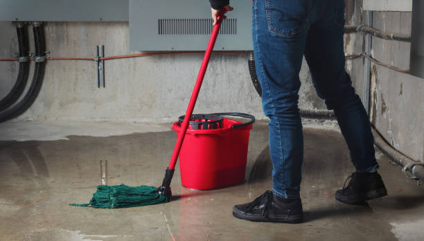 Best Flooded house restoration  in Jellico, TN