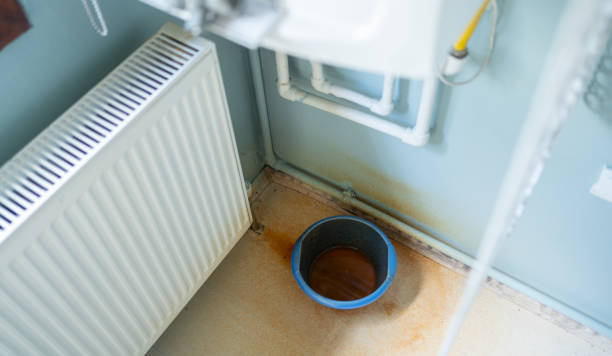 Best Mold removal after water damage  in Jellico, TN