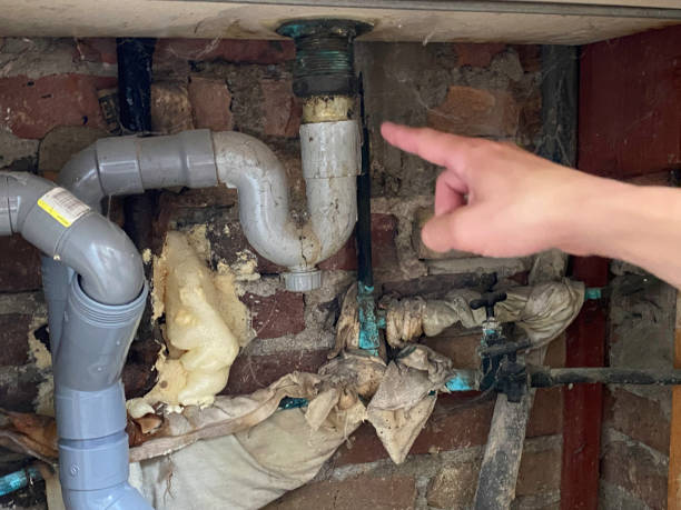 Best Ceiling water damage repair  in Jellico, TN