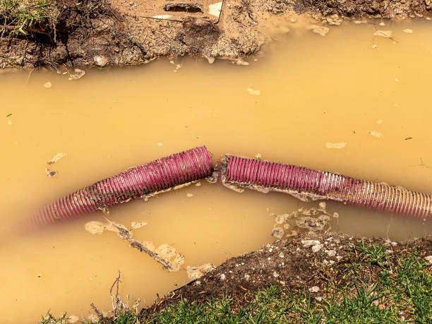  Jellico, TN Water damage restoration Pros